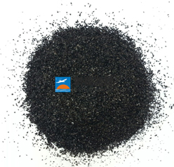 �o�aҬ������̿